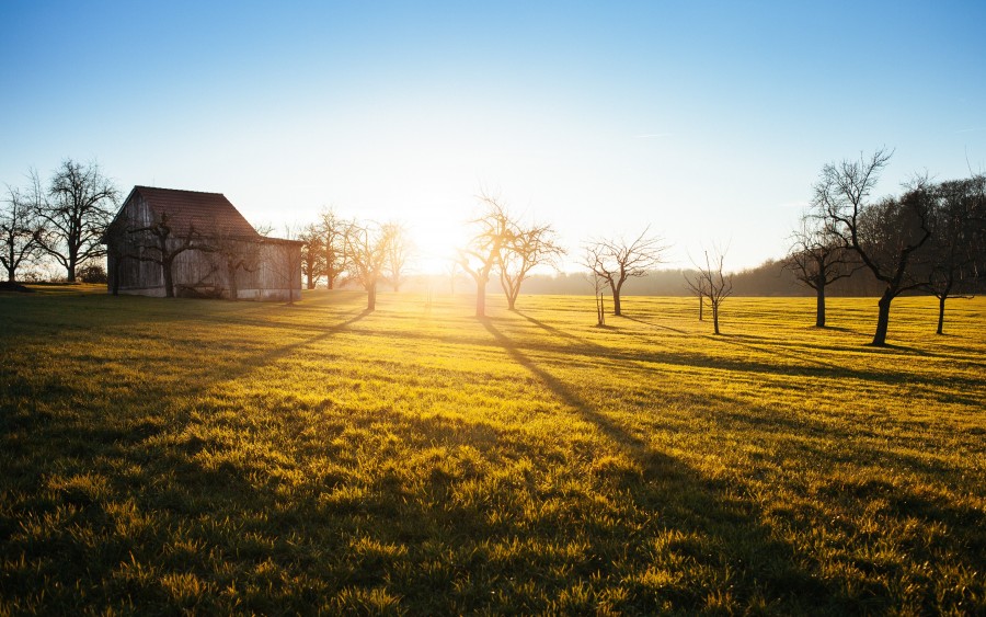 pôr do sol, paisagem, fazenda, campo, cena rural, exterior, madrugada, capim,