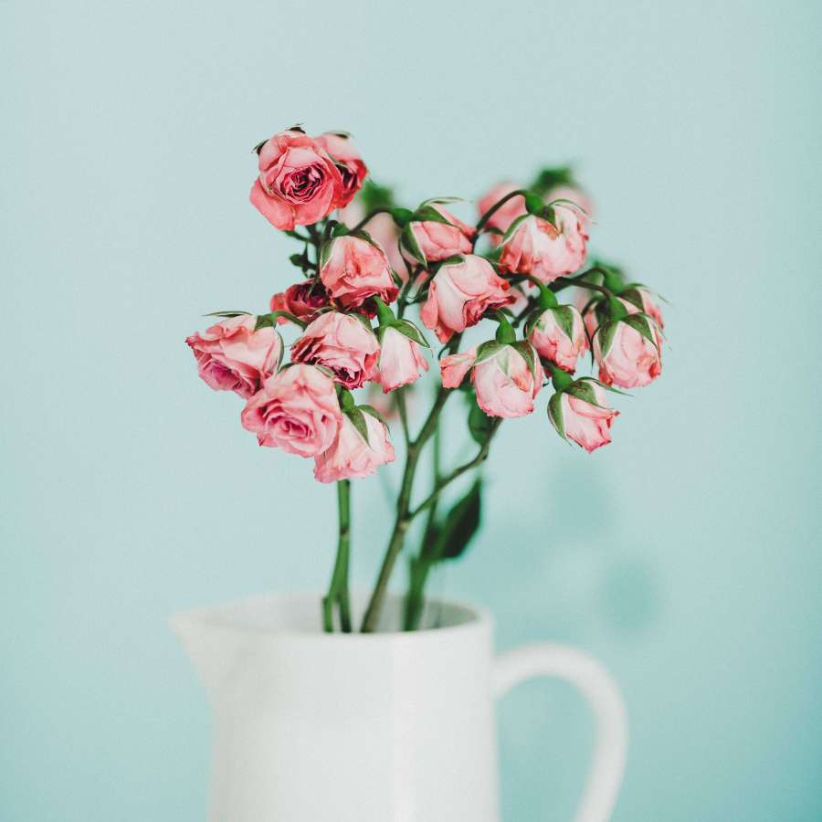 Rosa, flor, flor, buquê, vaso, monte, rosa, vermelho, azul, wallpapers hd, 4k wallpapers