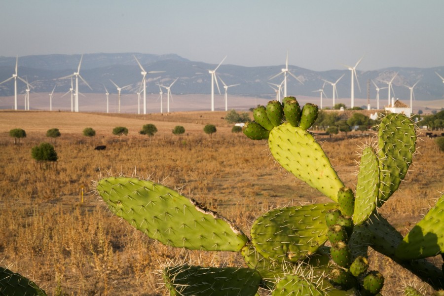 moinhos de vento, tecnologia, campo, exterior, moinho, energia, vento, natural, alternativa, ecologia, ambiente,