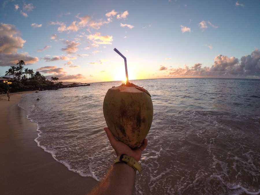 verão, férias, coco, mãos, bebida, coquetel, segure, tropical, praia, pôr do sol, paisagem, uma pessoa, homem, sorbet,