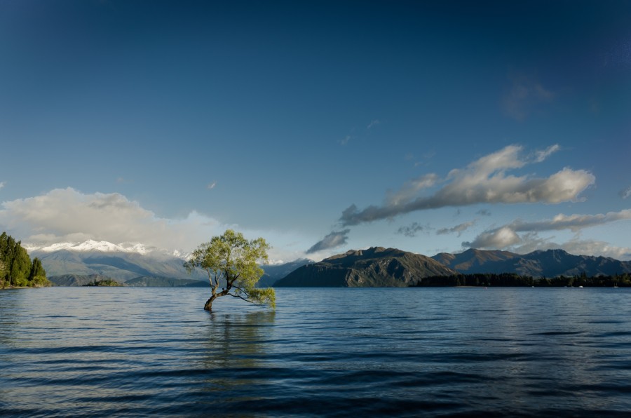 Nieuw Zeeland, Ilha do Sul, Wanaka, Nova Zelândia, Oceania, Ilha, paisagem, dia, lago,