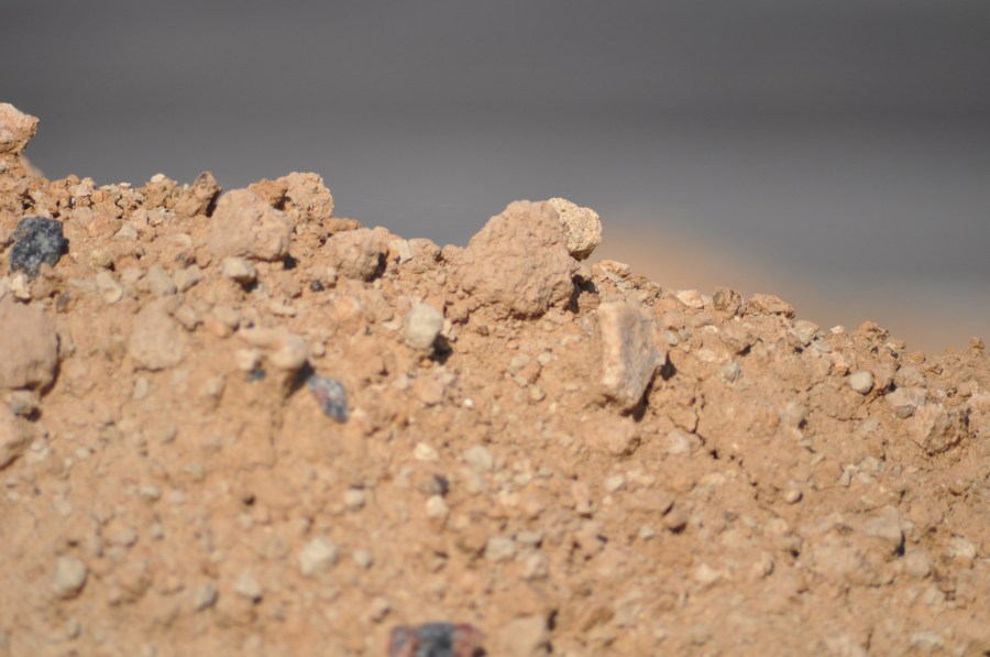 Textura, Texturas, Terra, Seca, Batata frita, Rachada, Clima árido, Terrain, Marrom, Rachada, Paisagem árida, Planos de fundo, Seca