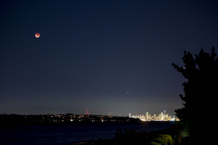 Lua vermelha lua, céu, vermelho, vermelho, noite, noite, paisagem, fase, lunar, cidade, iluminado,