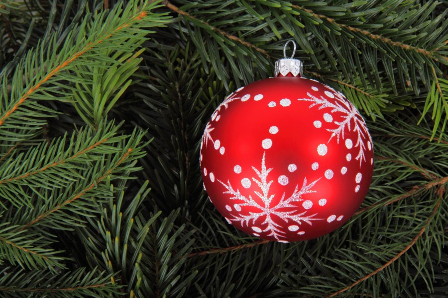 natal, detalhe, ornamento, natal, decoração, celebração, 2015, celebração, vermelho, árvore de natal, árvore,