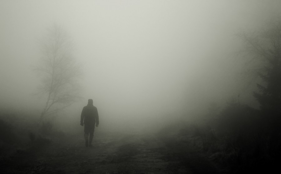 homem, névoa, névoa, mistério, ao ar livre, exterior, campo, passeio, silueta, misterioso, manhã, névoa, uma pessoa, cinzento,