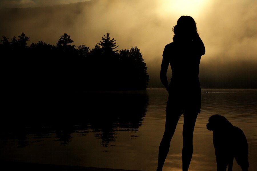 mulher, cão, animal de estimação, amizade, fidelidade, amanhecer, costa, rio, férias, viagens, viagens, lago, paisagem, escuro, neblina, nevoeiro, conceito,
