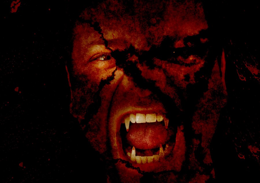 vampiro, cara, diabólico, medo, terror, presas, sangue, halloween,