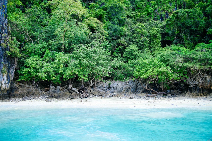 praia, caribe, ninguém, selva, floresta, paisagem, verão, costa, mar, virgem, turismo, turista, viagem, viagem,