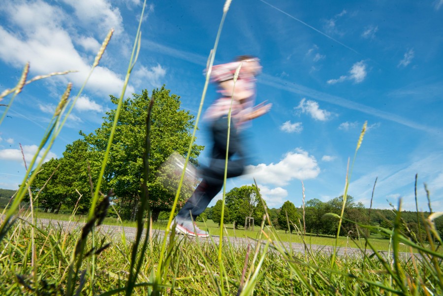 10k, estrada, céu, esportes, rua, árvores, azul, campos, imagens grátis, funrun, verde, jogging, masculino, homem, maratona, executando, sapatos, Primavera, instrutores, treinamento,