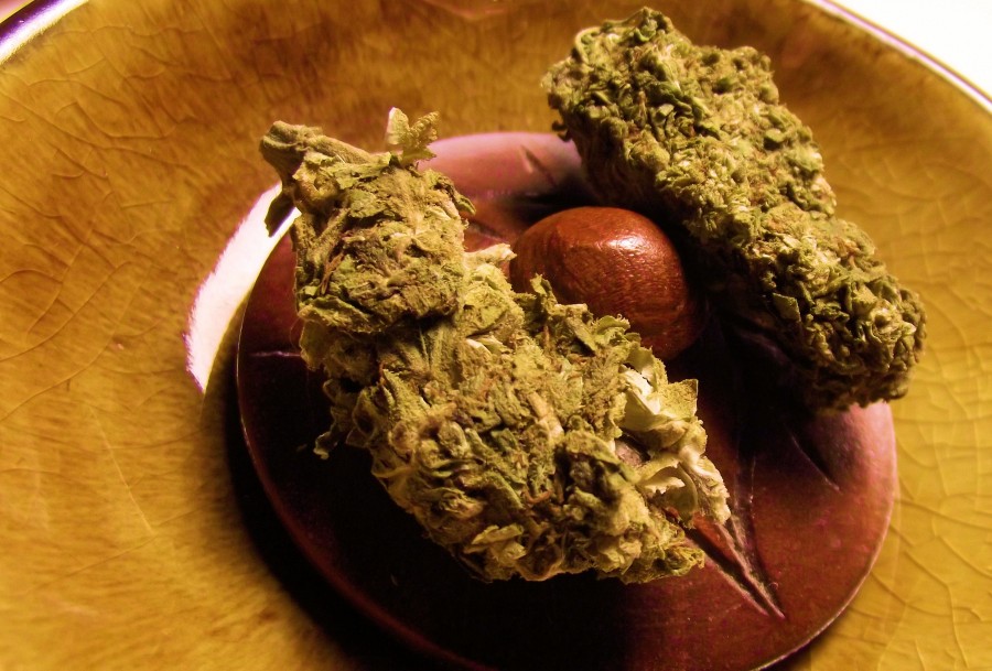 maconha, droga, maria, vício, ilegal, planta