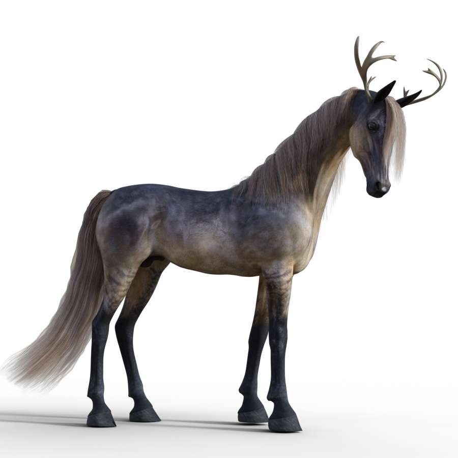 unicórnio, bela, mitologia, concurso, unicórnio imprimível, papel de parede de unicórnio, unicórnio animado, imagens de animais de unicórnios infantis, fundo de unicórnio, imagens de unicórnios bonitos, desenho de unicórnio, unicórnios de cor, unicórnios de coloração, imagens de unicórnios reais, unicórnios kawaii, coloridos, papéis de parede kawaii