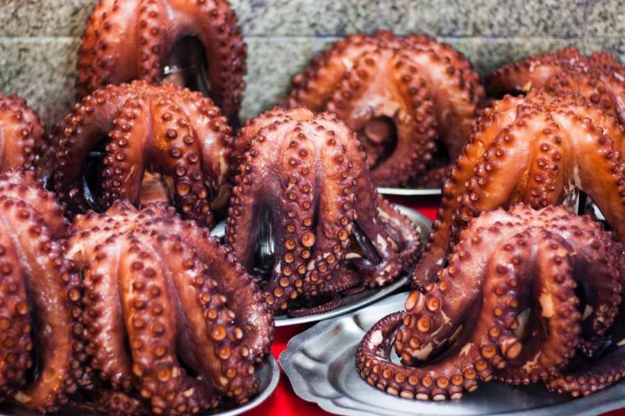 cozinha, frutos do mar, cozido, polvo, comida, saudável, fresco, gourmet, closeup, tentáculo, plano de fundo, peixe, cozinhar, cru, prato, molusco, roxo, preparado, refeição, delicioso, almoço, carne, prato, pronto para comer, jantar, natural, fervido, oceano, animal, madeira, restaurante, close-up, otário, isolado, marinho, estilo de vida, cozinha, saúde, frescor, delicatessen, dieta, pronto, espiral, aperitivo, luxo