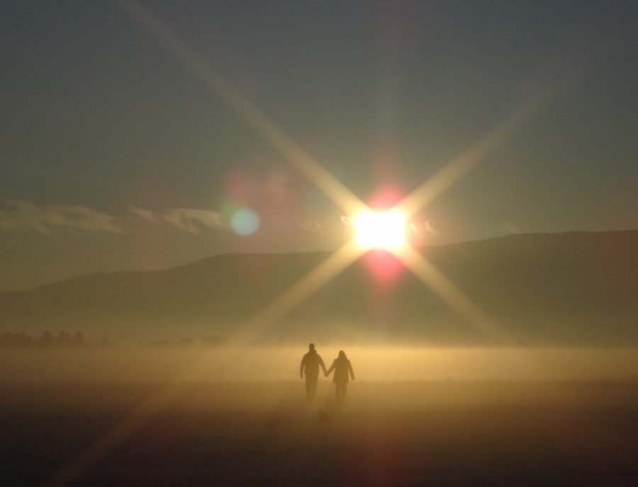 casal, amor, de mãos dadas, dia, fora, borrão, pôr do sol, duas pessoas, pessoas, adultos,