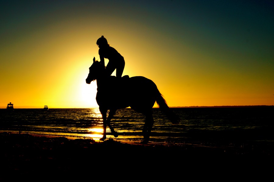 uma pessoa, pessoas, mulher, pôr do sol, pôr do sol, pôr do sol, praia, costa, animal animais, cavalo, cavaleiro, passeio, silhueta, verão, ao ar livre, dia, fora,