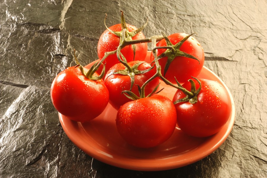 Tomate, Gota, Isolado, Vegetal, Frutas, Frutas, Cluster de, Close-up, Comida mediterrânica, Comida, Horizontal, Detalhe, Cores vibrantes, Gastronomia saudável, Grupo de objetos, Dieta, Comida vegetariana, Gourmet, Banka, Cru, Orgânicos, Cor , Ingrediente, Saúde, Frescura, Vermelho, Agricultura, Comida e Bebida,