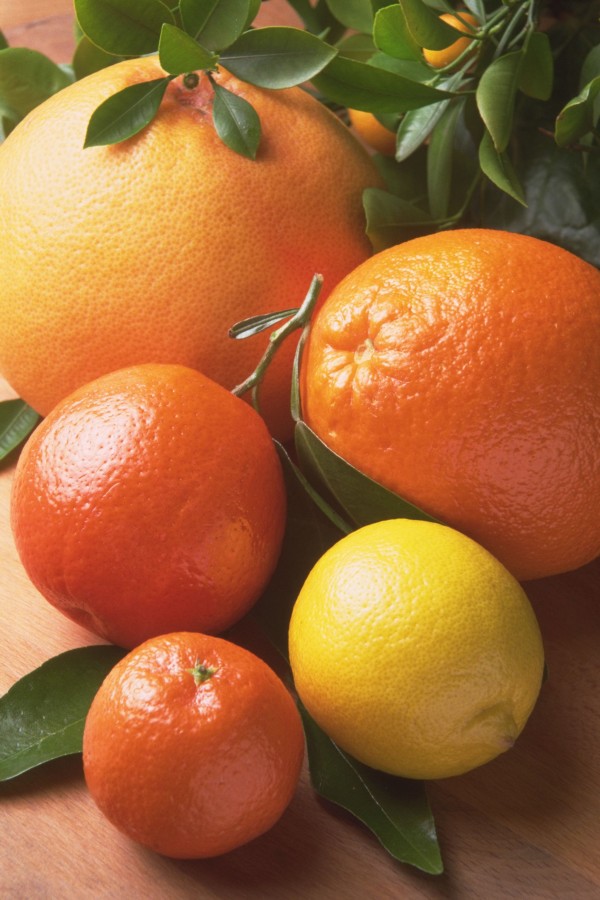 cítricos, citrinos, laranja, toranja, limão, frutas, frutas, frutas, fundo,