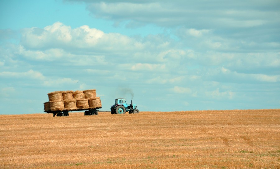 trator, campo, cena rural, dia, maquinaria, trabalho, bale, fardos, capim, seca, rural,