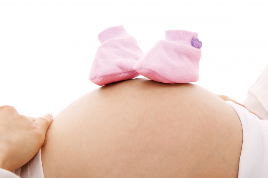 barriga, grávida, mulher, chinelo, bebê, mãe, pele, amor, família, gravidez, rosa, fundo branco,