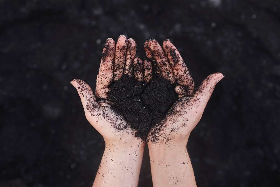 mão, composto, agricultura, orgânico, planta, jardinagem, jardim, terra, meio ambiente, natureza, conceito, fazenda, exploração, solo, fresco, solo, ecologia, cuidado, verde, cultivado, vida, pequeno, sujeira, plano de fundo, crescer, terra, ao ar livre, muda, proteção, semente, desenvolvimento, broto, crescimento, agricultor, closeup, frescor, caule, floresta, primavera, fertilizante, natural, crescendo, luz, mulher, país, rebento, movimento, luz solar

