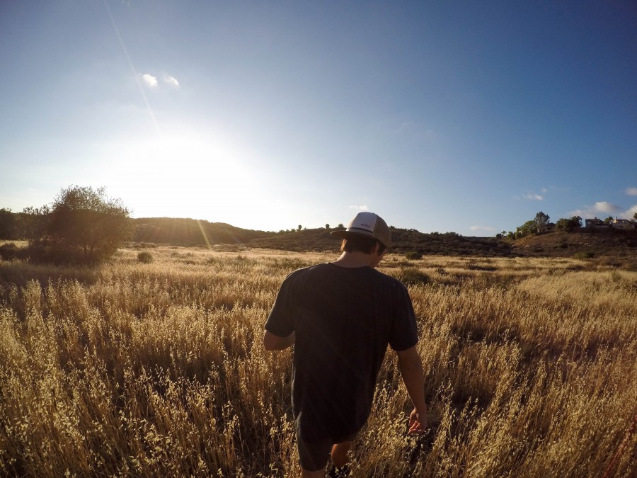 uma pessoa, pessoas, homem, boné, chapéu, pôr do sol, pôr do sol, pôr do sol, campo, cena rural, ao ar livre, fora, 20 anos, liberdade, viagem, viagem,