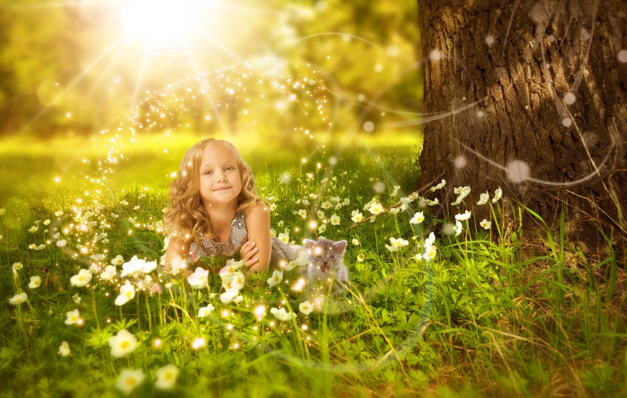 meninas, gato, árvore, luz do sol, luz, pastagens, flor, flash, verde, bonito, fresco, crianças, bonito, madeiras, sorriso, flores, bokeh, padrão, fêmea, fotos grátis, imagens grátis, gatinho, gato bebê, animais jovens, agressivos, caça, gato, peles, adorável, animais, carnívoros, fofo, cabelo, bebê, mamífero, pata, animais de estimação, brincalhão, retrato, puro sangue, pequeno, curioso, querido, fotos grátis, imagens grátis, Gato domesticado, Cabeça de animal, Roan Cat, Fofo, Gatinho, Fotografia, Olhando para a Câmara, Animal Doméstico, Filhote de animal, Imagem a cores, Dia, Horizontal, Interior, Animal de Estimação, Ninguém, Olho de animal, Parte do corpo animal Temas animais, Um adorável, fofinho, animal de estimação, peludo, juba, cores, cabelos, listras, felino, gatinho, micifuz, michino, madrileño, felido, gatuno, wallpapers hd, wallpapers 4k, resolução 4k, screensaver
