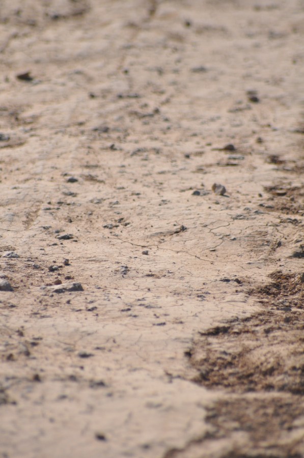 Textura, Texturas, Terra, Seca, Batata frita, Rachada, Clima árido, Terrain, Marrom, Rachada, Paisagem árida, Planos de fundo, Seca