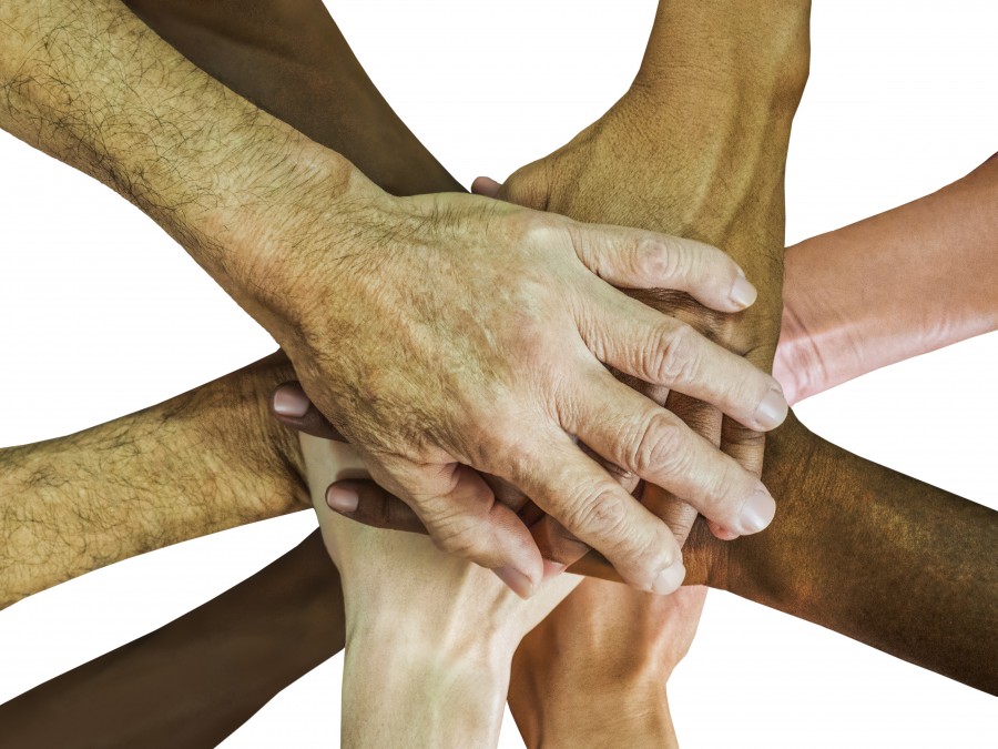 mãos, trabalho em equipe, espírito de equipe, rejubilem-se, equipe, pessoas, grupo, juntos, unidade, amizade, parceria, pessoa, união, lado a lado, diversidade, unir na diversidade, amigos, carreira
