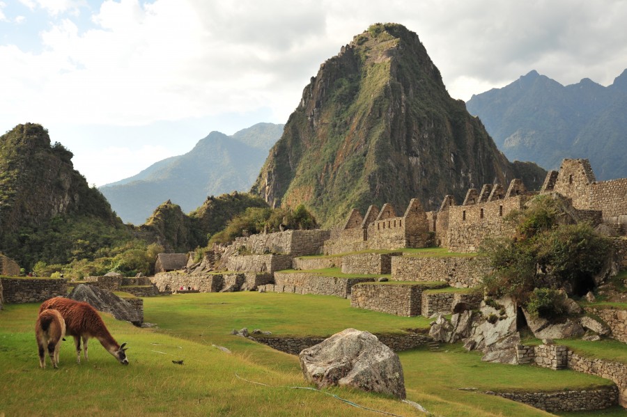 Machu Picchu, Machu Pichu, Peru, América, latim, latim, montanha, paisagem, dia, turista local, turismo, maravilha, civilização, Inca, ruínas, ruína,