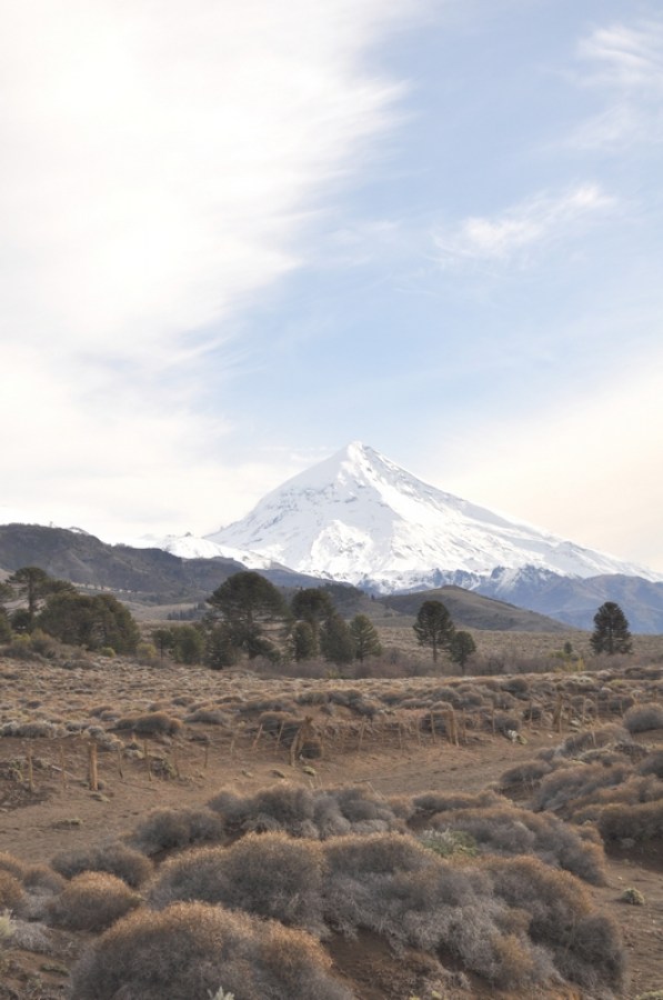 patagonia, neuquen, vulcão, lanin, neve, paisagem, montanha, ninguém, dia, argentina ,, campo, inverno, pôr do sol,