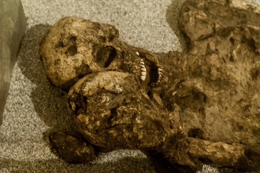 múmia, múmias, esqueleto, fóssil, humano, osso, ossos, arqueologia, museu,