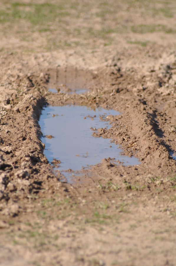 Textura, Texturas, Terra, Seca, Batata frita, Rachada, Clima árido, Terrain, Marrom, Rachada, Paisagem árida, Planos de fundo, Seca, Poça, Água, Lama