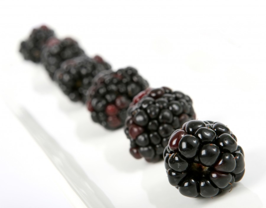 morango, framboesa, blackberry, preto, roxo, preto, fundo branco, frutas, frutas, prato, sobremesa,
