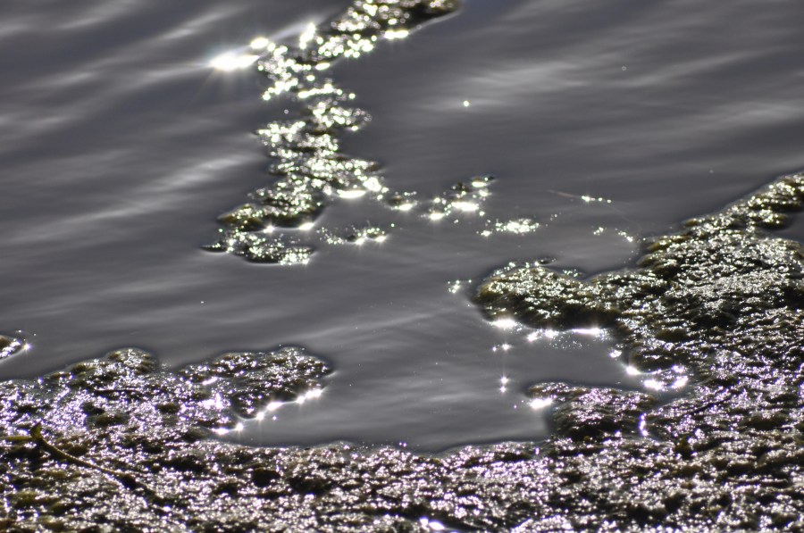 Textura, texturas, água, reflexão, lago
