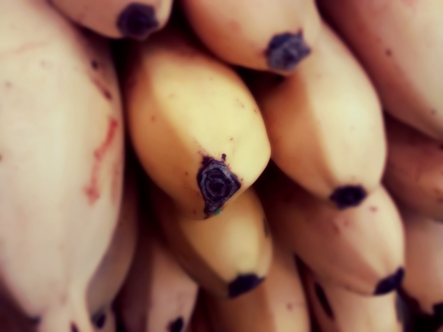 bananas, bananas, frutas, close-up,