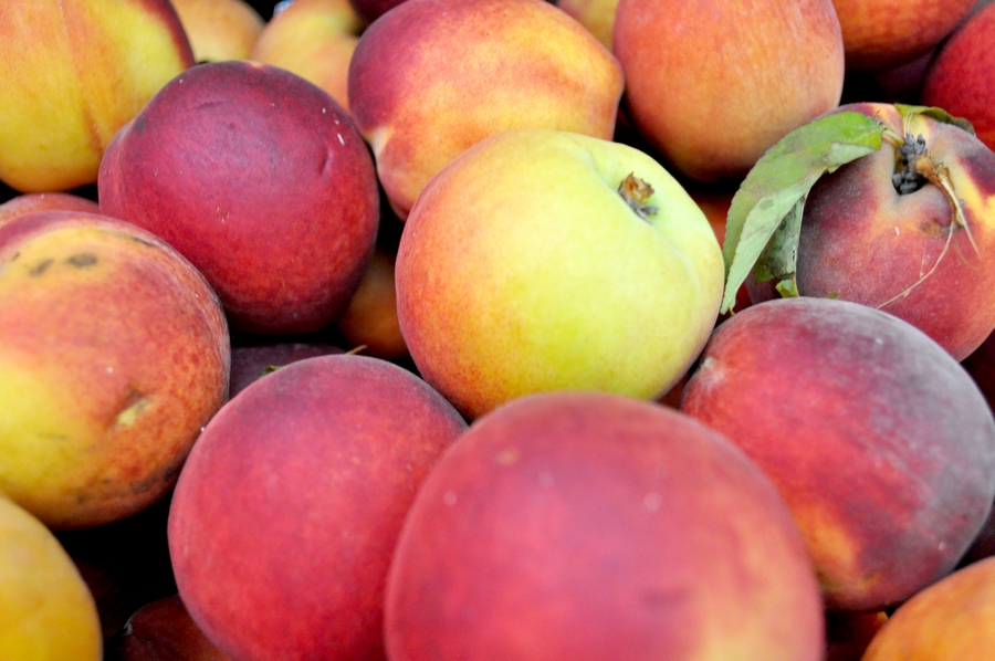 frutas, alimentos, fundo, fundo, pêssego, pêssegos, vista frontal, fresco, frescura, vermelho, laranja, P12062014