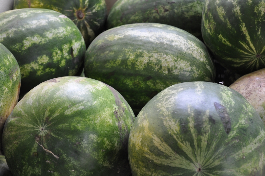 Melancia, frutas, citrullus, lanatus, verde, fundo, p12062014