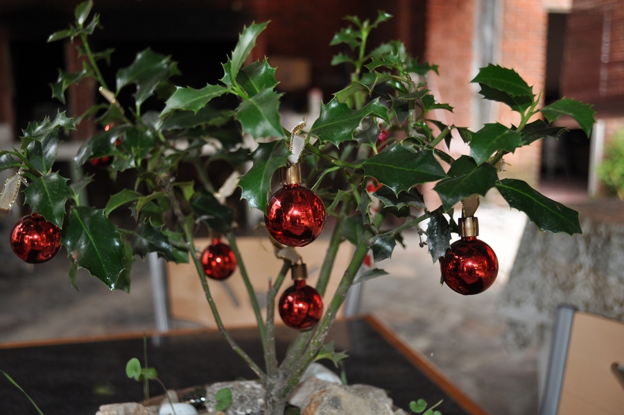 natal, vermelho, bola, bolas, decoração, rodada, bola, bolas, P12062014