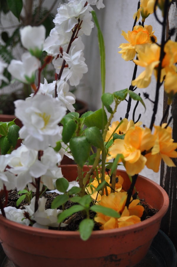 flor, flores, pote, jardim, amarelo, branco, plástico, artificial ,, P12062014