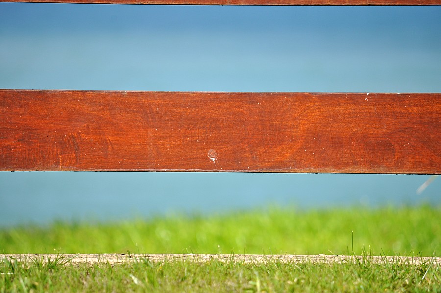 antecedentes, antecedentes, grass, trilhos, wood, verdes, light blue, P052014, Freejpg