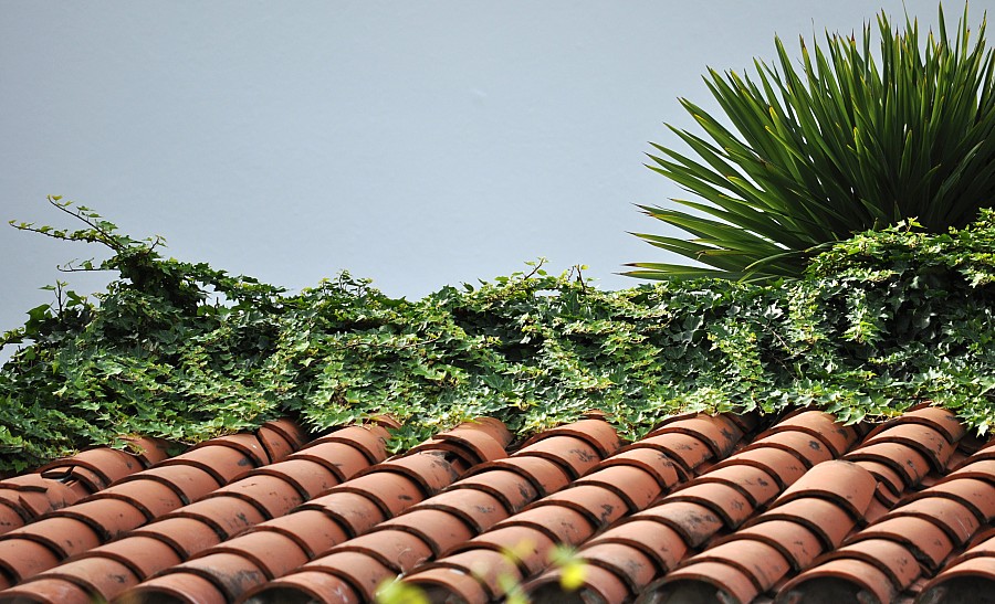 telhado, azulejos, colonial, azulejo, P052014, Freejpg