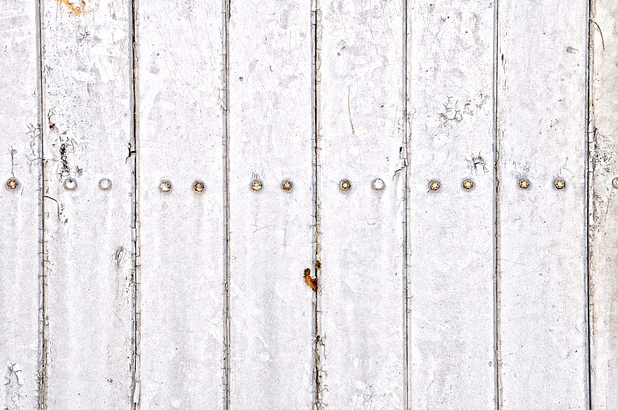 fundo, fundo, madeira, branco, textura, p052014, Freejpg