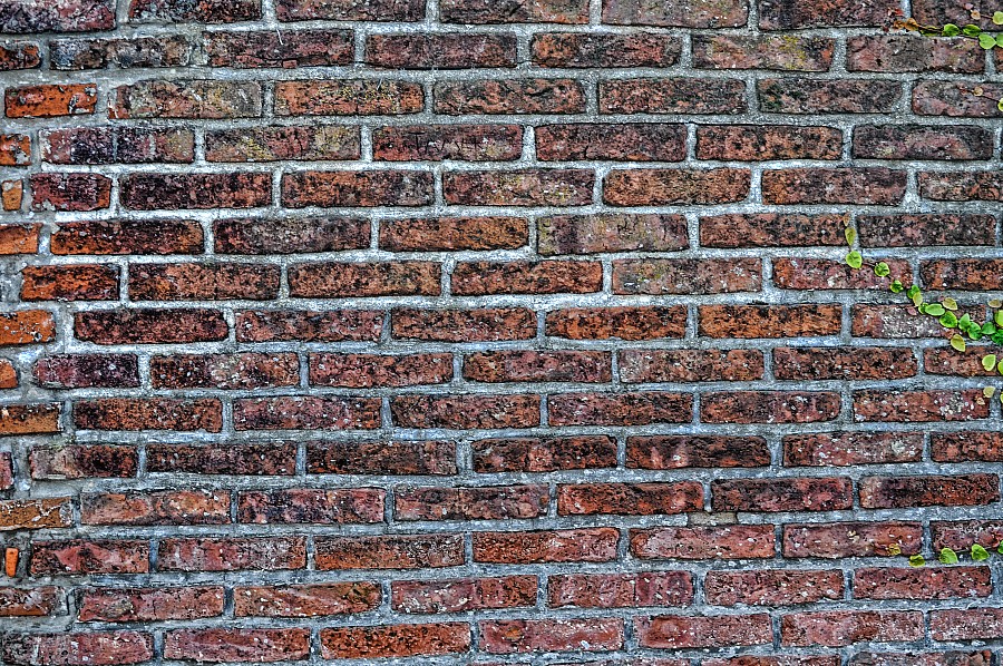 Fundo, tijolo, paredes, Paredon, P052014, Freejpg